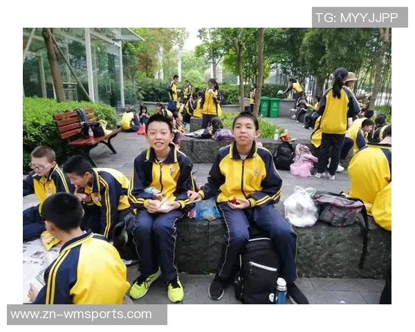 巴西足球惨案揭示的悲剧与反思：历史教训与未来展望